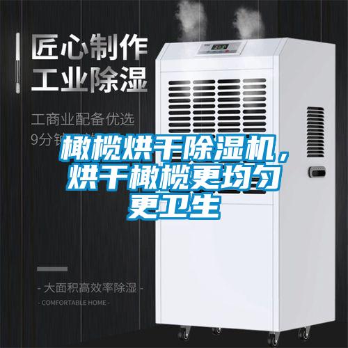 橄欖烘干除濕機，烘干橄欖更均勻更衛生