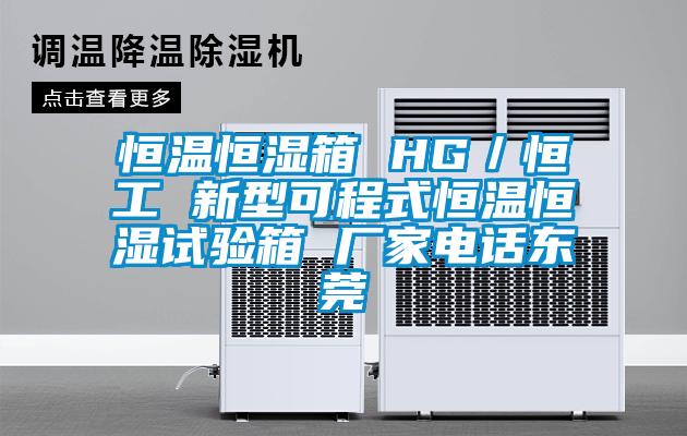 恒溫恒濕箱 HG／恒工 新型可程式恒溫恒濕試驗(yàn)箱 廠家電話東莞