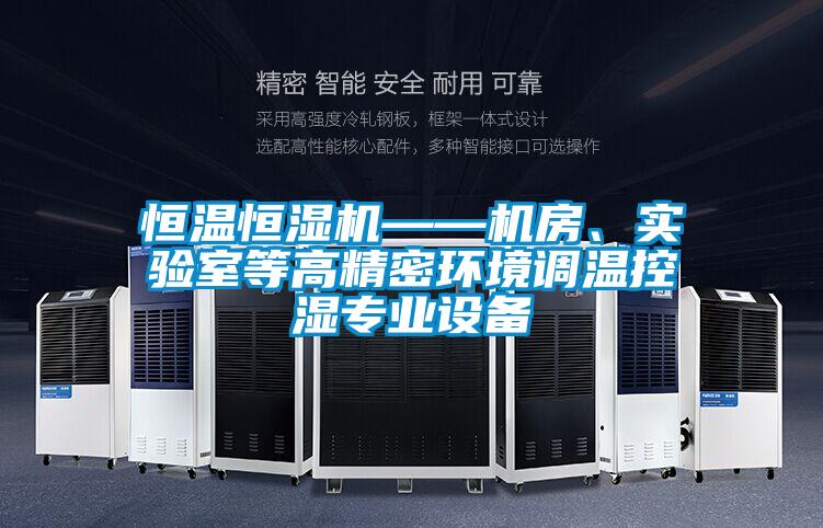 恒溫恒濕機——機房、實驗室等高精密環境調溫控濕專業設備
