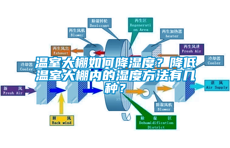 溫室大棚如何降濕度？降低溫室大棚內(nèi)的濕度方法有幾種？