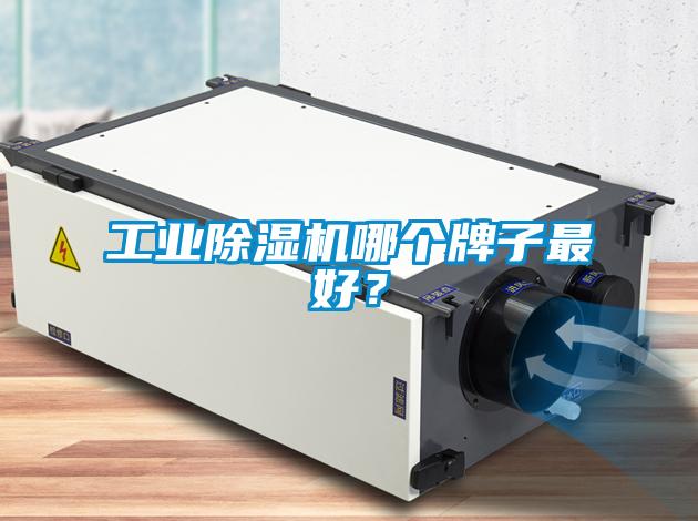 工業除濕機哪個牌子最好？