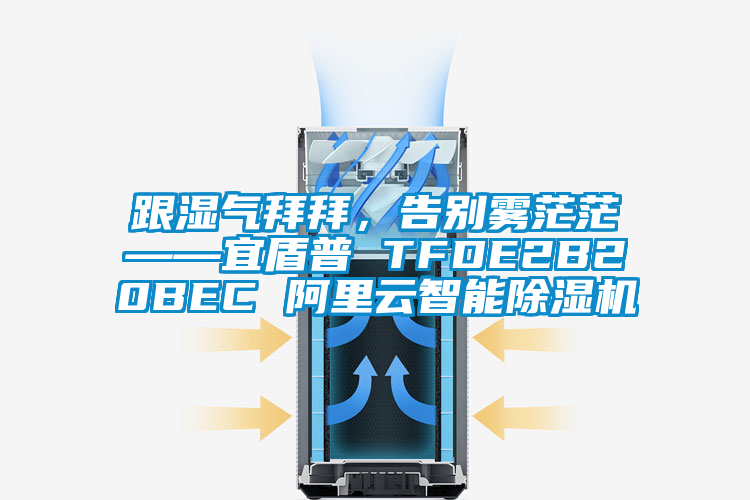 跟濕氣拜拜，告別霧茫茫——宜盾普 TFDE2B20BEC 阿里云智能除濕機