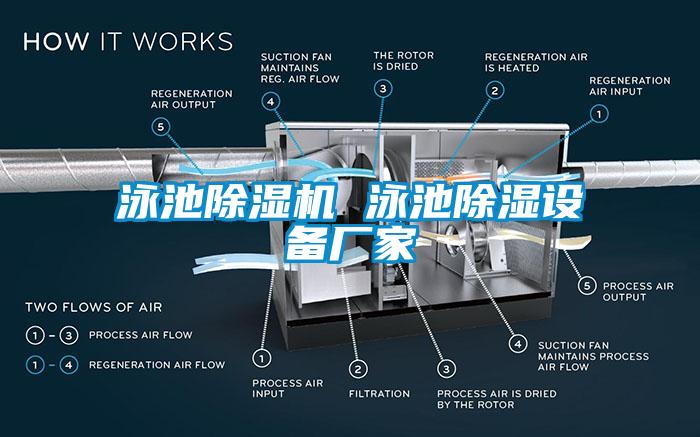 泳池除濕機 泳池除濕設備廠家