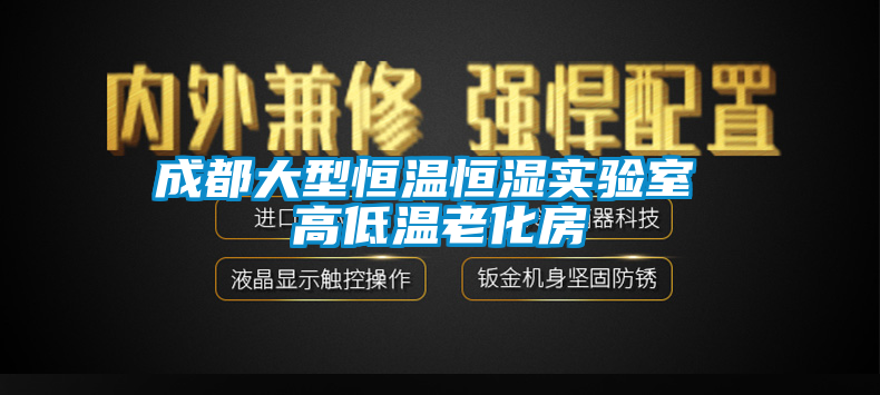 成都大型恒溫恒濕實驗室 高低溫老化房