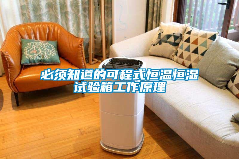 必須知道的可程式恒溫恒濕試驗(yàn)箱工作原理