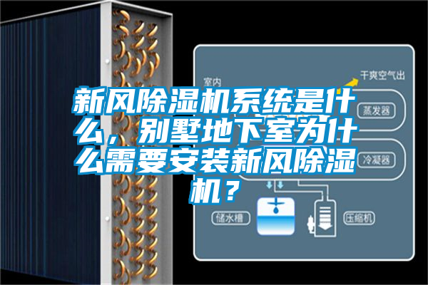 新風除濕機系統是什么，別墅地下室為什么需要安裝新風除濕機？