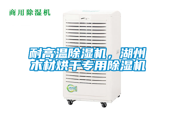 耐高溫除濕機，湖州木材烘干專用除濕機