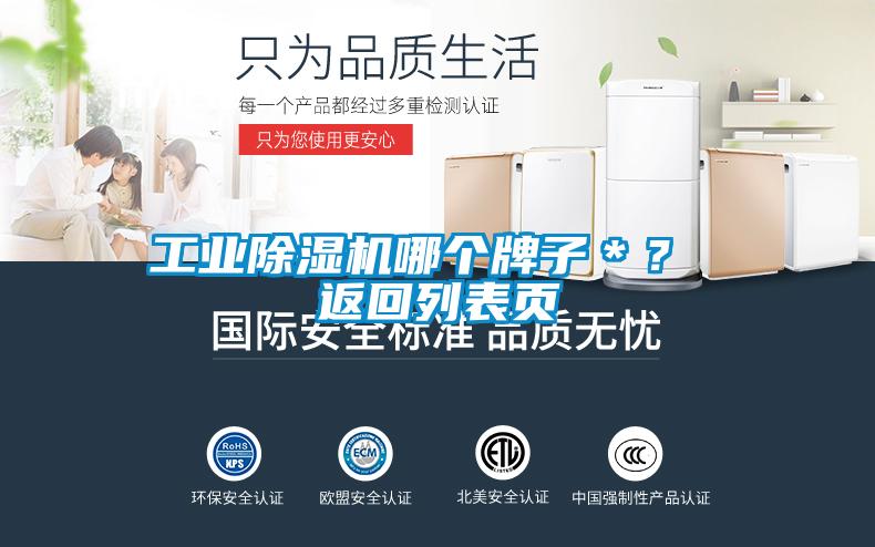 工業除濕機哪個牌子＊？ 返回列表頁