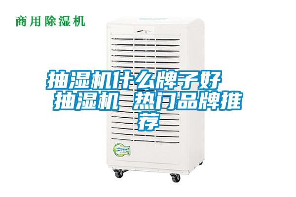 抽濕機(jī)什么牌子好  抽濕機(jī) 熱門品牌推薦