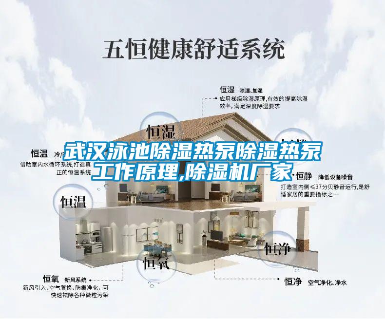 武漢泳池除濕熱泵除濕熱泵工作原理,除濕機(jī)廠家