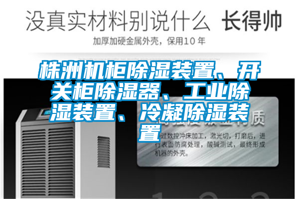 株洲機柜除濕裝置、開關柜除濕器、工業除濕裝置、冷凝除濕裝置