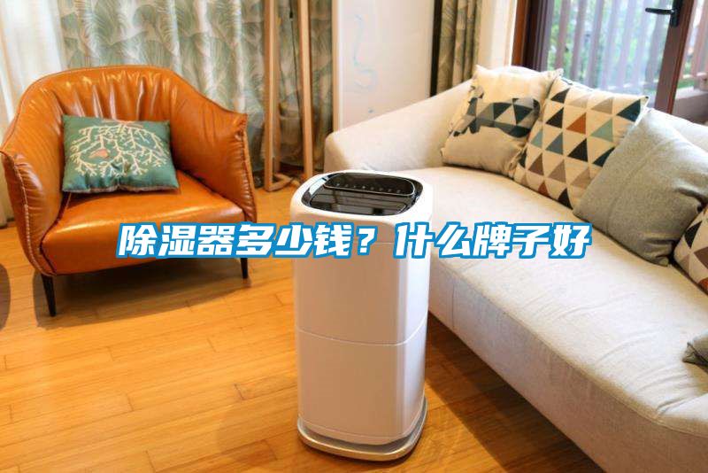 除濕器多少錢(qián)？什么牌子好