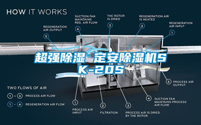 超強除濕 定安除濕機SK-20S