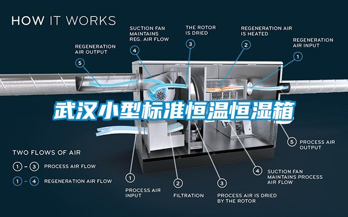 武漢小型標準恒溫恒濕箱