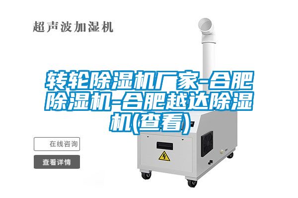 轉輪除濕機廠家-合肥除濕機-合肥越達除濕機(查看)