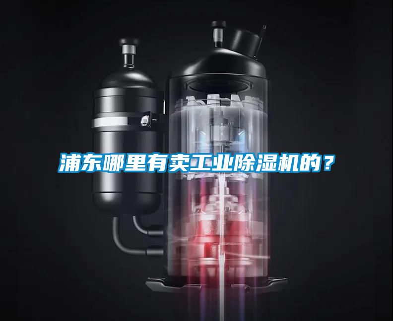 浦東哪里有賣工業(yè)除濕機的？