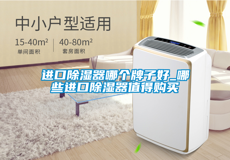 進(jìn)口除濕器哪個(gè)牌子好_哪些進(jìn)口除濕器值得購(gòu)買(mǎi)