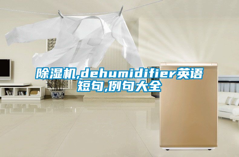 除濕機,dehumidifier英語短句,例句大全