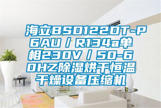 海立BSD122DT-P6AU／R134a單相230V／50-60HZ除濕烘干恒溫干燥設(shè)備壓縮機