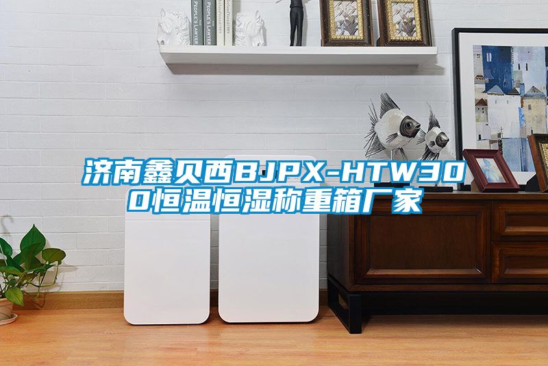 濟南鑫貝西BJPX-HTW300恒溫恒濕稱重箱廠家