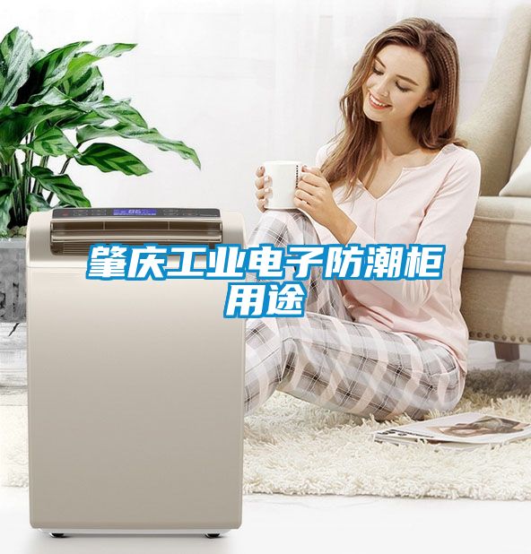 肇慶工業電子防潮柜用途