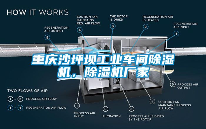 重慶沙坪壩工業車間除濕機，除濕機廠家