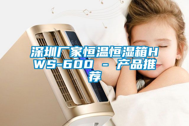 深圳廠家恒溫恒濕箱HWS-600 - 產品推薦