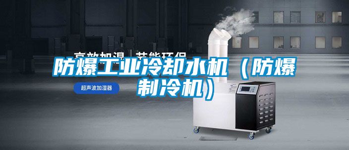 防爆工業冷卻水機（防爆制冷機）