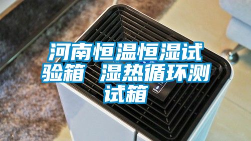 河南恒溫恒濕試驗箱 濕熱循環測試箱