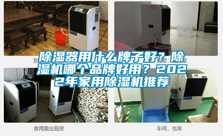 除濕器用什么牌子好？除濕機哪個品牌好用？2022年家用除濕機推薦