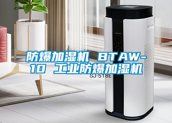 防爆加濕機 BTAW-10 工業防爆加濕機