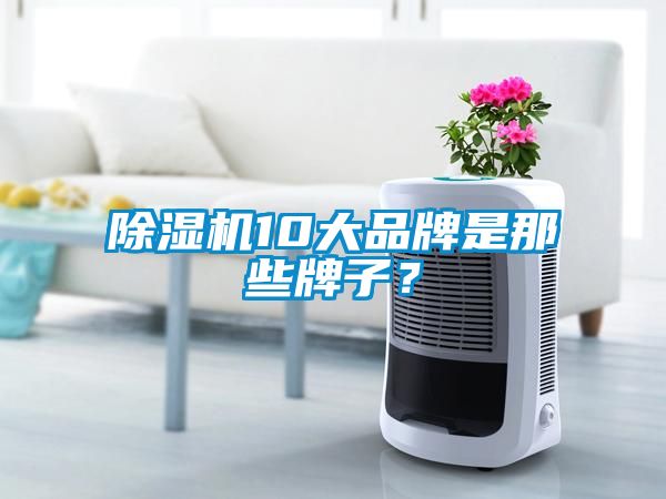 除濕機10大品牌是那些牌子？