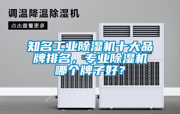 知名工業(yè)除濕機十大品牌排名，專業(yè)除濕機哪個牌子好？