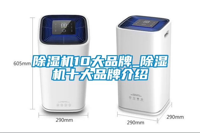 除濕機10大品牌_除濕機十大品牌介紹