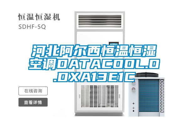 河北阿爾西恒溫恒濕空調DATACOOL.O.DXA13E1C