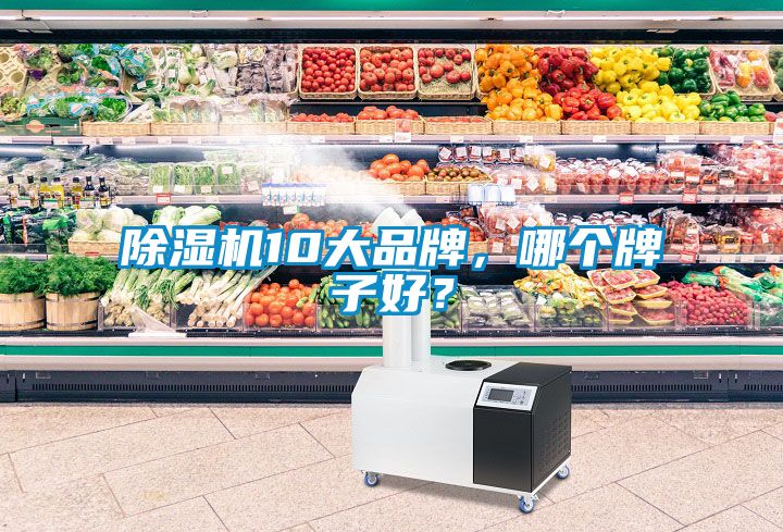 除濕機10大品牌，哪個牌子好？