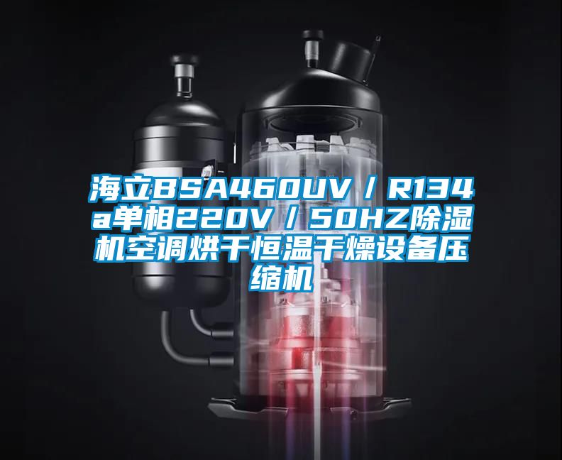 海立BSA460UV／R134a單相220V／50HZ除濕機空調(diào)烘干恒溫干燥設(shè)備壓縮機