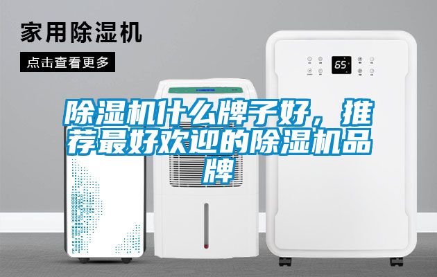 除濕機什么牌子好，推薦最好歡迎的除濕機品牌