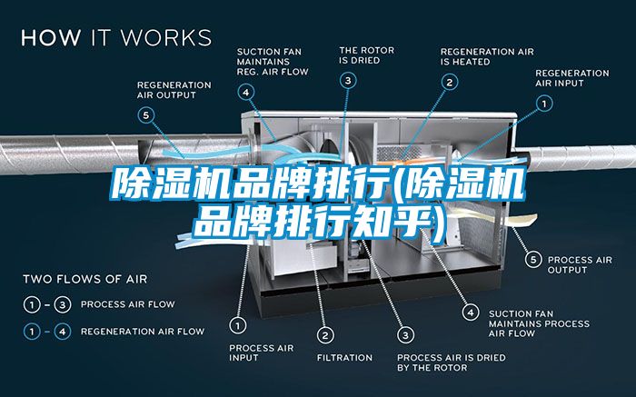 除濕機(jī)品牌排行(除濕機(jī)品牌排行知乎)