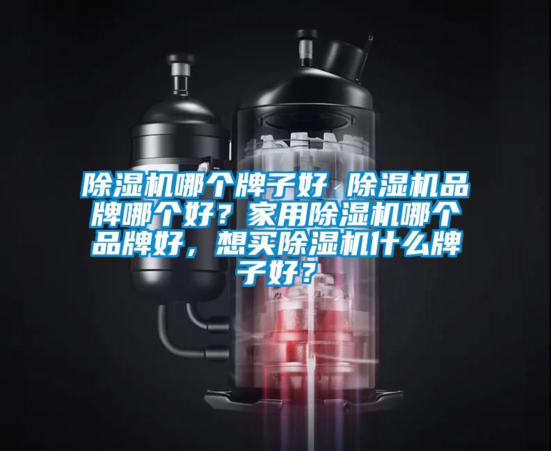 除濕機哪個牌子好 除濕機品牌哪個好？家用除濕機哪個品牌好，想買除濕機什么牌子好？