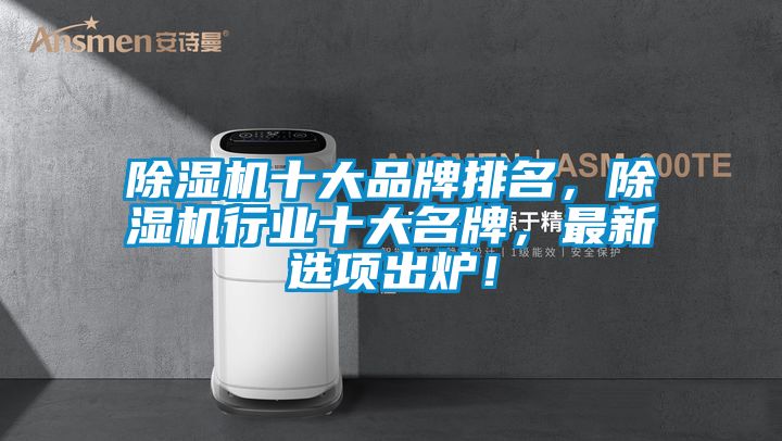 除濕機十大品牌排名，除濕機行業十大名牌，最新選項出爐！