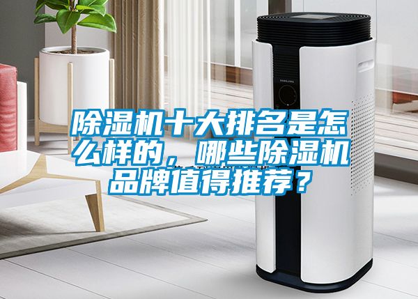 除濕機十大排名是怎么樣的，哪些除濕機品牌值得推薦？