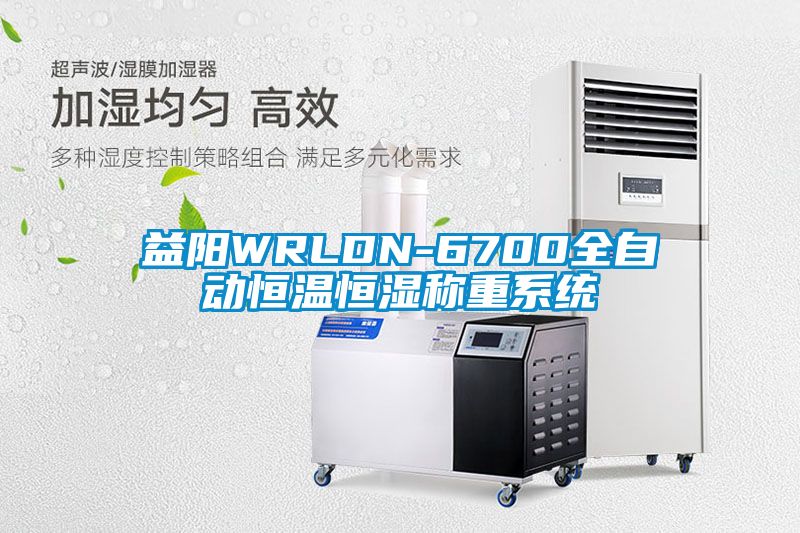 益陽WRLDN-6700全自動恒溫恒濕稱重系統