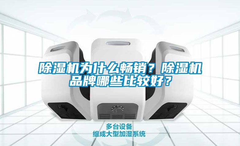 除濕機為什么暢銷？除濕機品牌哪些比較好？