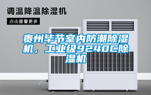貴州畢節(jié)室內(nèi)防潮除濕機(jī)，工業(yè)級9240C除濕機(jī)