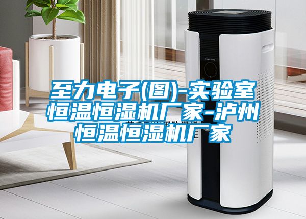 至力電子(圖)-實驗室恒溫恒濕機廠家-瀘州恒溫恒濕機廠家