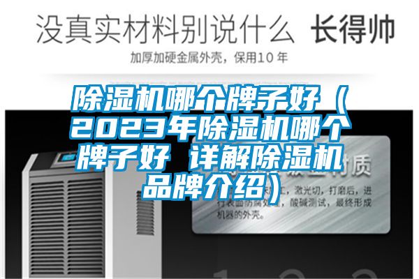 除濕機(jī)哪個(gè)牌子好（2023年除濕機(jī)哪個(gè)牌子好 詳解除濕機(jī)品牌介紹）