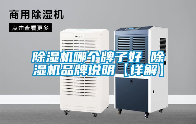 除濕機哪個牌子好 除濕機品牌說明【詳解】