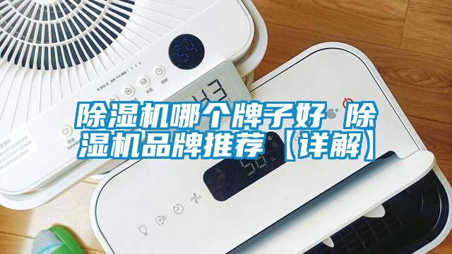 除濕機哪個牌子好 除濕機品牌推薦【詳解】