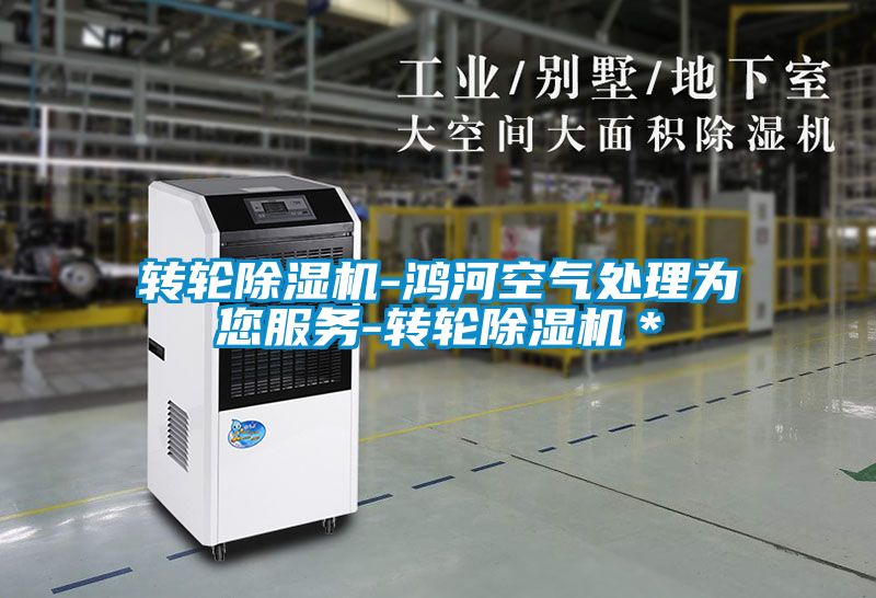 轉(zhuǎn)輪除濕機-鴻河空氣處理為您服務-轉(zhuǎn)輪除濕機＊